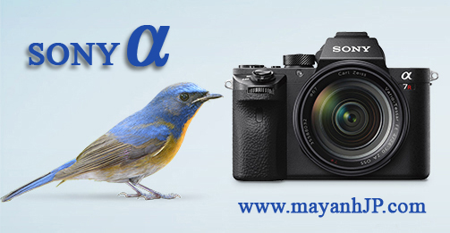 Máy ảnh Sony Alpha ống kính rời không gương lật | www.mayanhJP.com