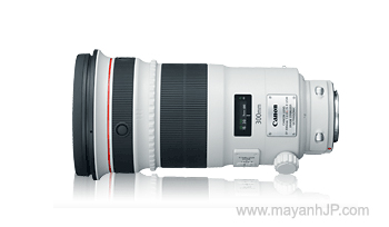 Canon 300mm f2.8L IS USM