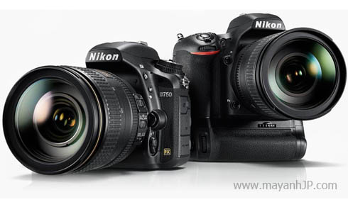 Nikon D750 | Máy ảnh Nikon chuyên nghiệp | Máy ảnh JP